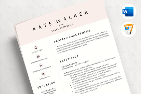 Download Professional Resume Template - 3 Page Resume Template CV - Resume template Collection
